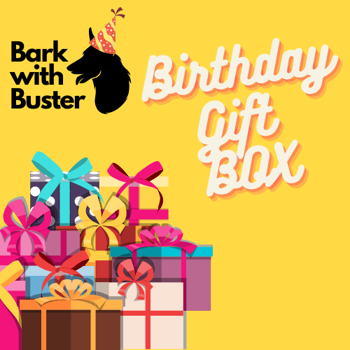 Birthday Dog Gifts