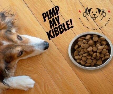 The Mystery of the Finicky Eater: How Dog Meal Toppers Saved My Sanity and My Dog's Dinner. Enter the Meal Topper, the secret weapon in your arsenal against dinnertime disaster.