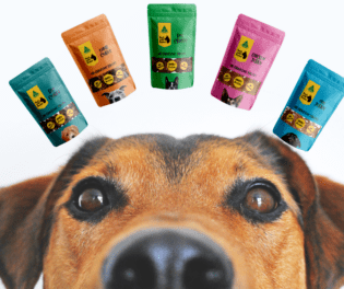 Five Dog Treat Fanfare Pack: A Symphony of Flavours for Your Discerning Dog Calling All Fussy Eaters and Food Connoisseur Pups! Is your doggo tired of the same old kibble concerto? Do they dream of a taste bud tango that would make even a pavlova jealous? Well, listen here, cobber, because we've got the answer for you! Introducing the Five Dog Treat Fanfare Pack, Bark with Buster's ultimate dog treat sampler. A smorgasbord of deliciousness that'll have your pooch composing a symphony of happy barks.